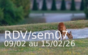 sport-dehors-club-marly-le-roi