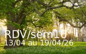 club-marly-le-roi (1) (1) (2)